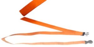 Ζώνη Φορείου Μονή