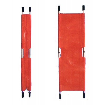 Φορείο Venus I